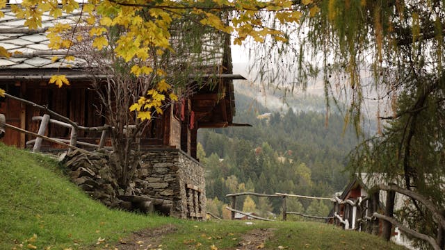 Sunrise Meadow Bungalow